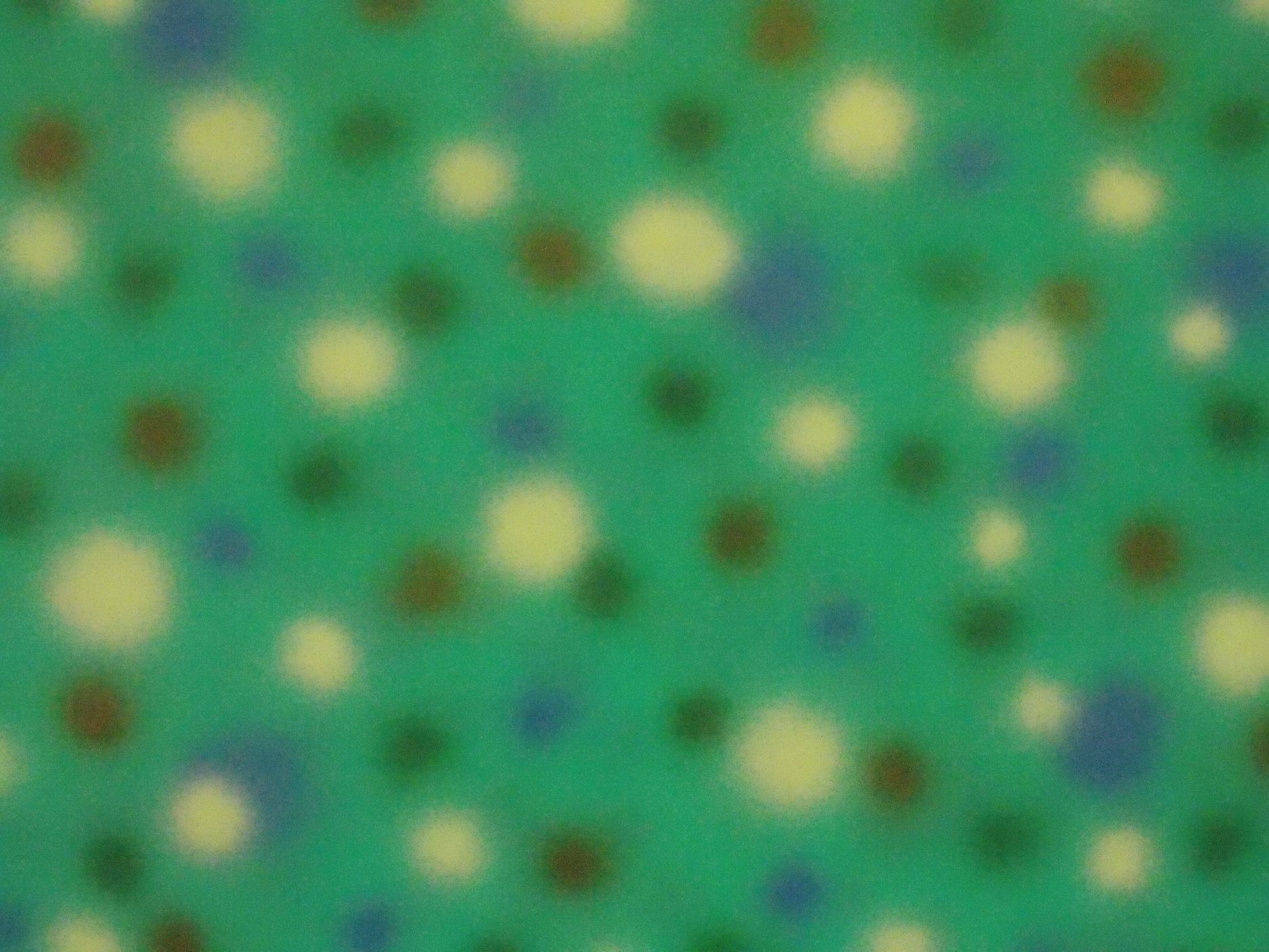 42660495_1905495762900989_381353367437312000_n